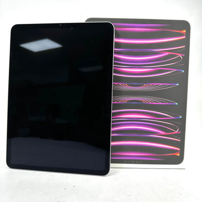 WiFi Only Apple iPad Pro 4th Gen 256GB