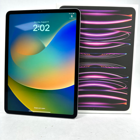 WiFi Only Apple iPad Pro 4th Gen 256GB